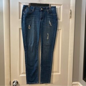 VGUC Earl Jeans Intentionally Distressed Skinny Women's Jeans Size 10